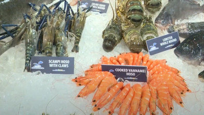 Opportunity for Vietnamese shrimp when China controls Ecuadorian shrimp